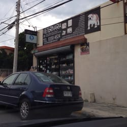 Veterinaria - Max Bracho