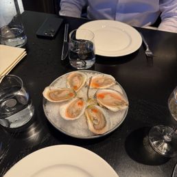 Oysters Oysters