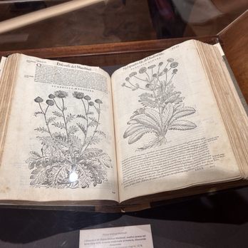 Cripta dei Cappuccini - Herbal book. - Churches Near Me - Rome, RM