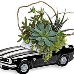 Searcy Florist & Gift - Untitled