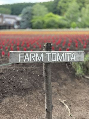 Farm Tomita by null