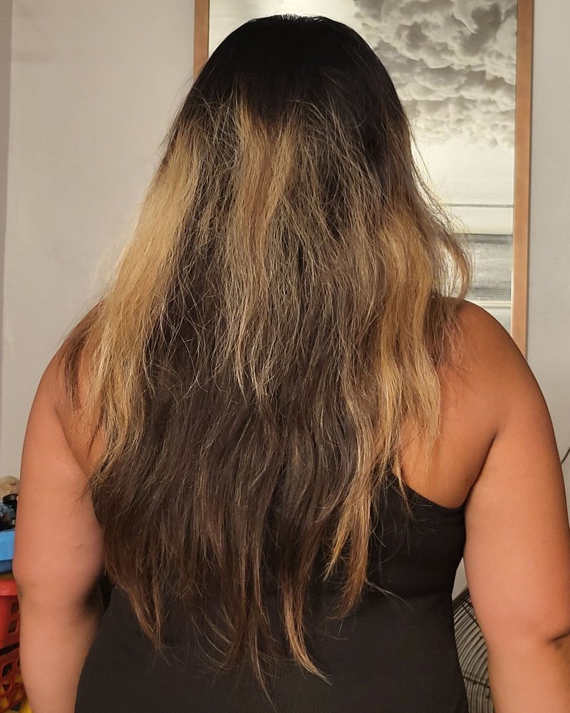 SHEAR BEAUTY LOUNGE Updated October 2024 10 Reviews 15606 Gale