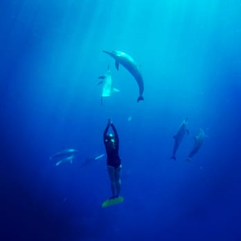 Freedive Kauai - Freedive Kauai and Aida Instructor Michelle Marsh dancing with a pod of dolphins 50ft below the surface. - Free Diving Near Me Freedive Kauai - Freedive Kauai and Aida Instructor Michelle Marsh dancing with a pod of dolphins 50ft below the surface. - Free Diving Near Me