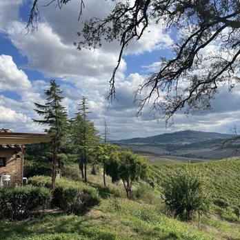 Tuscan Wine Tours - Wine Tours Near Me - Florence, FI