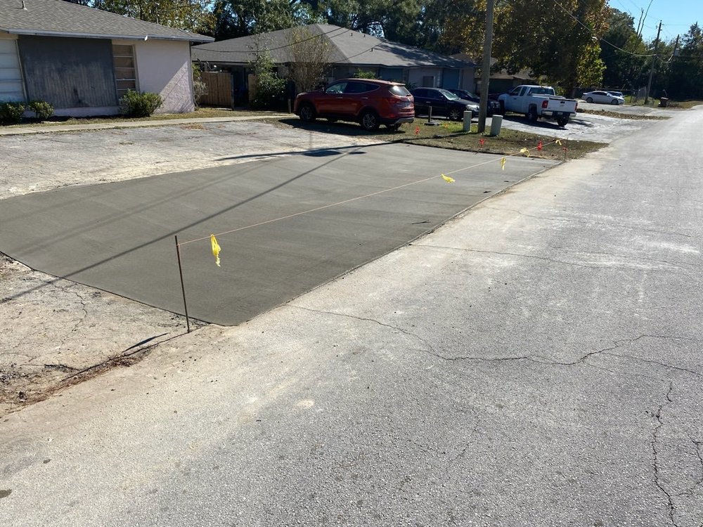 Slide of House Finch
