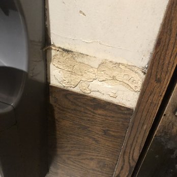 Madhatter - The entire place is falling apart but the restroom is a complete mess! It's SO disgusting! - Bars Near Me - Washington, DC, District of Columbia Madhatter - The entire place is falling apart but the restroom is a complete mess! It's SO disgusting! - Bars Near Me - Washington, DC, District of Columbia