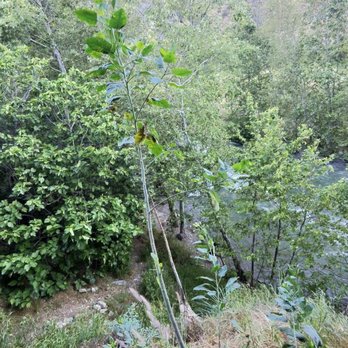 El Encanto Trail Hike - Hiking Near Me - Azusa, California