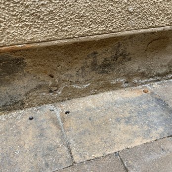 C&R Pavers - Pavers are permeable, not holding out water. Water is getting through and sitting up against my house, damaging the stucco on my house - Masonry/Concrete Near Me - Escondido, California C&R Pavers - Pavers are permeable, not holding out water. Water is getting through and sitting up against my house, damaging the stucco on my house - Masonry/Concrete Near Me - Escondido, California