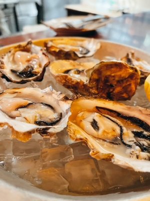 micro bar & bites by null
