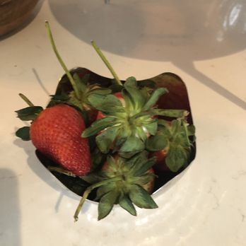 Wine Stone Inn - Beautiful large strawberries at breakfast - Hotels Near Me - Orcutt, California Wine Stone Inn - Beautiful large strawberries at breakfast - Hotels Near Me - Orcutt, California