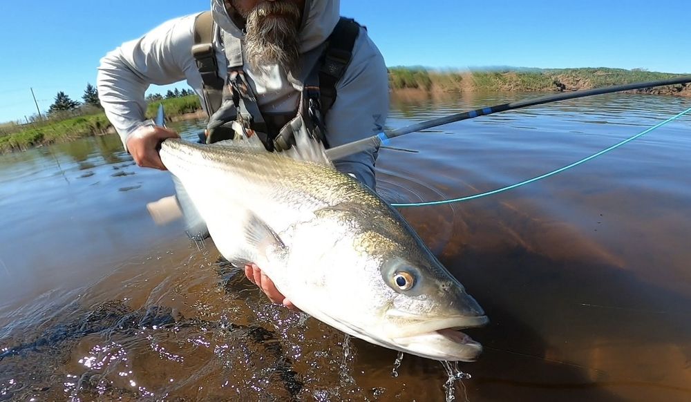 Marshland Outfitters