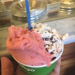 Strawberry sorbet and vanilla chocolate chip