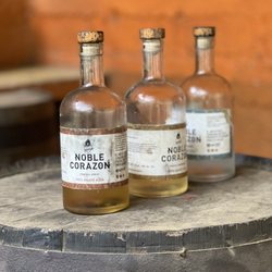 Wild Treks Adventures - Tequila tasting on ATV tour