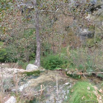 Lost Maples State Park - Parks Near Me - Vanderpool, Texas