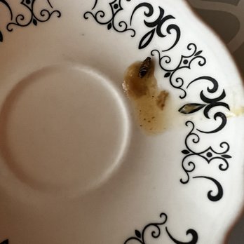 Fortune Chinese Restaurant - The roach found in the hot and sour soup. - Chinese Near Me - Oklahoma City, Oklahoma Fortune Chinese Restaurant - The roach found in the hot and sour soup. - Chinese Near Me - Oklahoma City, Oklahoma
