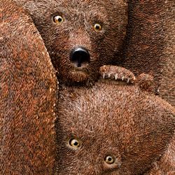 Ursa Mater - Baby Bears =)
