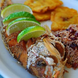 El Palmar Restaurant - Redsnaper con tostones