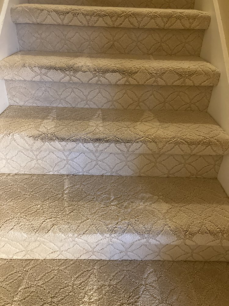 CERTIFIED CLEAN CARE KNOXVILLE 10 Photos 7350 Morton View Ln