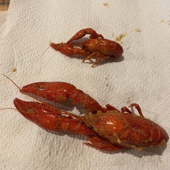 Cajun Corner - Crawfish size comparison. Some are huge - Cajun/Creole Near Me - Pantego, Texas