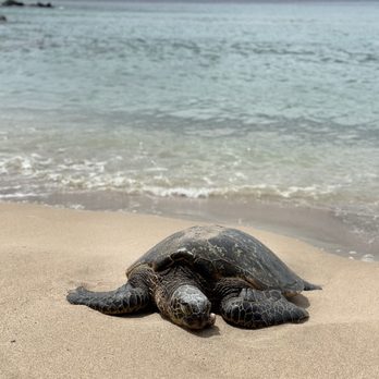 Slaughterhouse Beach - Beaches Near Me - Lahaina, Hawaii