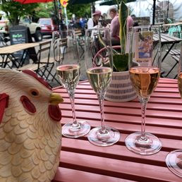 Camilla the Hen with her flight! Who said hens can't fly?!? Camilla the Hen with her flight! Who said hens can't fly?!?