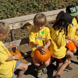 Primrose School of Parker - A trip to the pumpkin patch