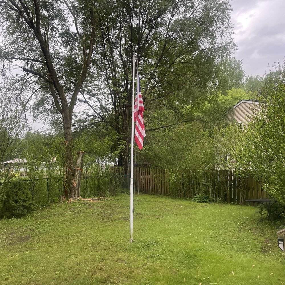 Widmers Tree Service - After photo - Tree Services Near Me Widmers Tree Service - After photo - Tree Services Near Me
