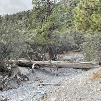 Fletcher Canyon - Hiking Near Me - Las Vegas, Nevada Fletcher Canyon - Hiking Near Me - Las Vegas, Nevada