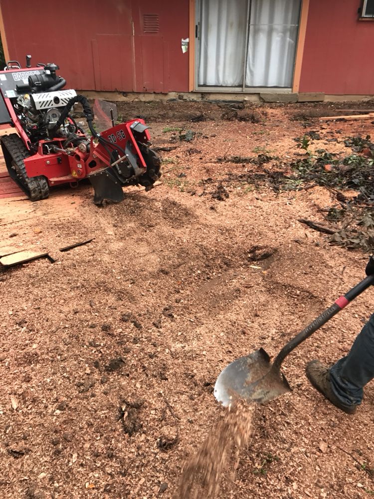 US Lawns - Austin West - tree service in Austin, TX