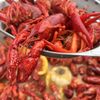 University Seafood gift card