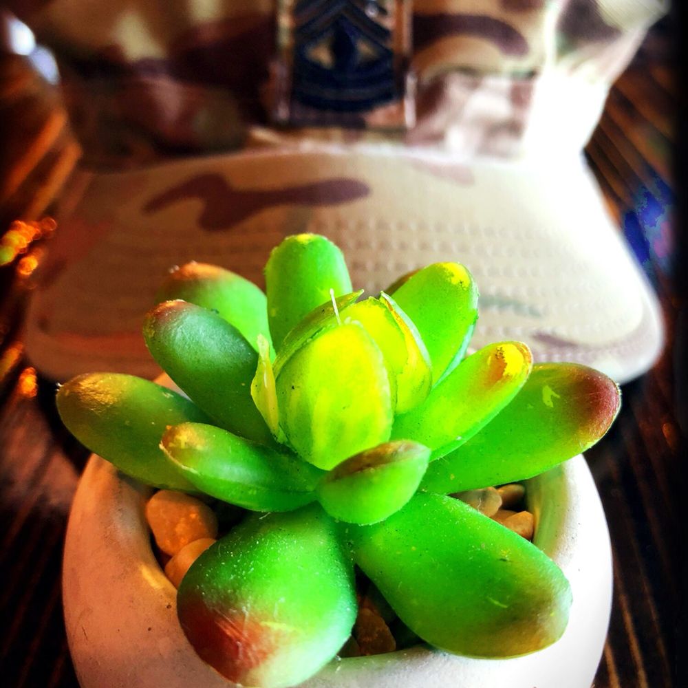 Chase the Taste - New American Near Me - El Paso, Texas