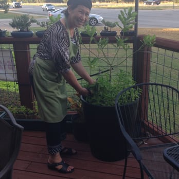 Thai Lada - Manna cuts fresh basil for our dish. - Thai Near Me - Austin, Texas Thai Lada - Manna cuts fresh basil for our dish. - Thai Near Me - Austin, Texas