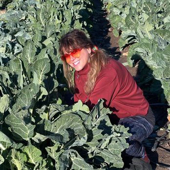 Underwood Farm Market - Harvesting - Fruits & Veggies Near Me - Somis, California Underwood Farm Market - Harvesting - Fruits & Veggies Near Me - Somis, California