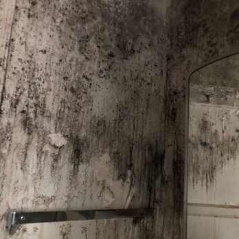 Mor Construction & Design - Our friends house was neglected for many years. Mold from water Damage - Electricians Near Me