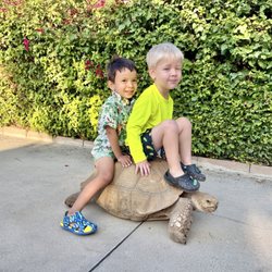 So Cal Jungle Reptile Parties - Charlie's party SEP2026