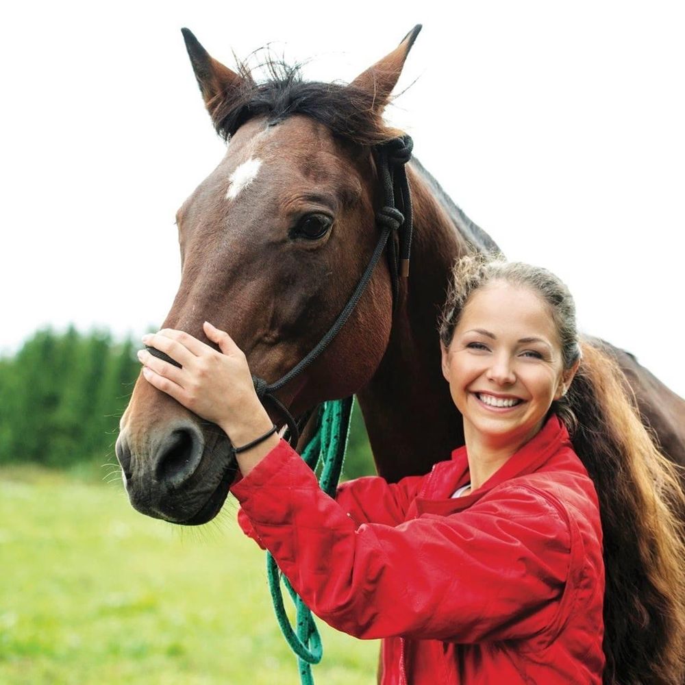 Horses and Pathfinders - equestrian in Moretown, VT
