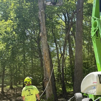 Toenyan Tree Service - Tree Services Near Me - Baxter, Minnesota