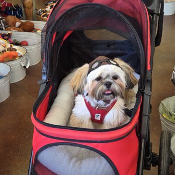 Fideaux - Pet Stores Near Me - Healdsburg, California