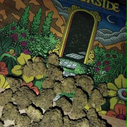 Dispensary 33 - Welcome to the DESERT!1!
