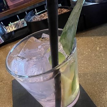 Diego - Caliente en Los tropicos - Cocktail Bars Near Me - Chicago, Illinois