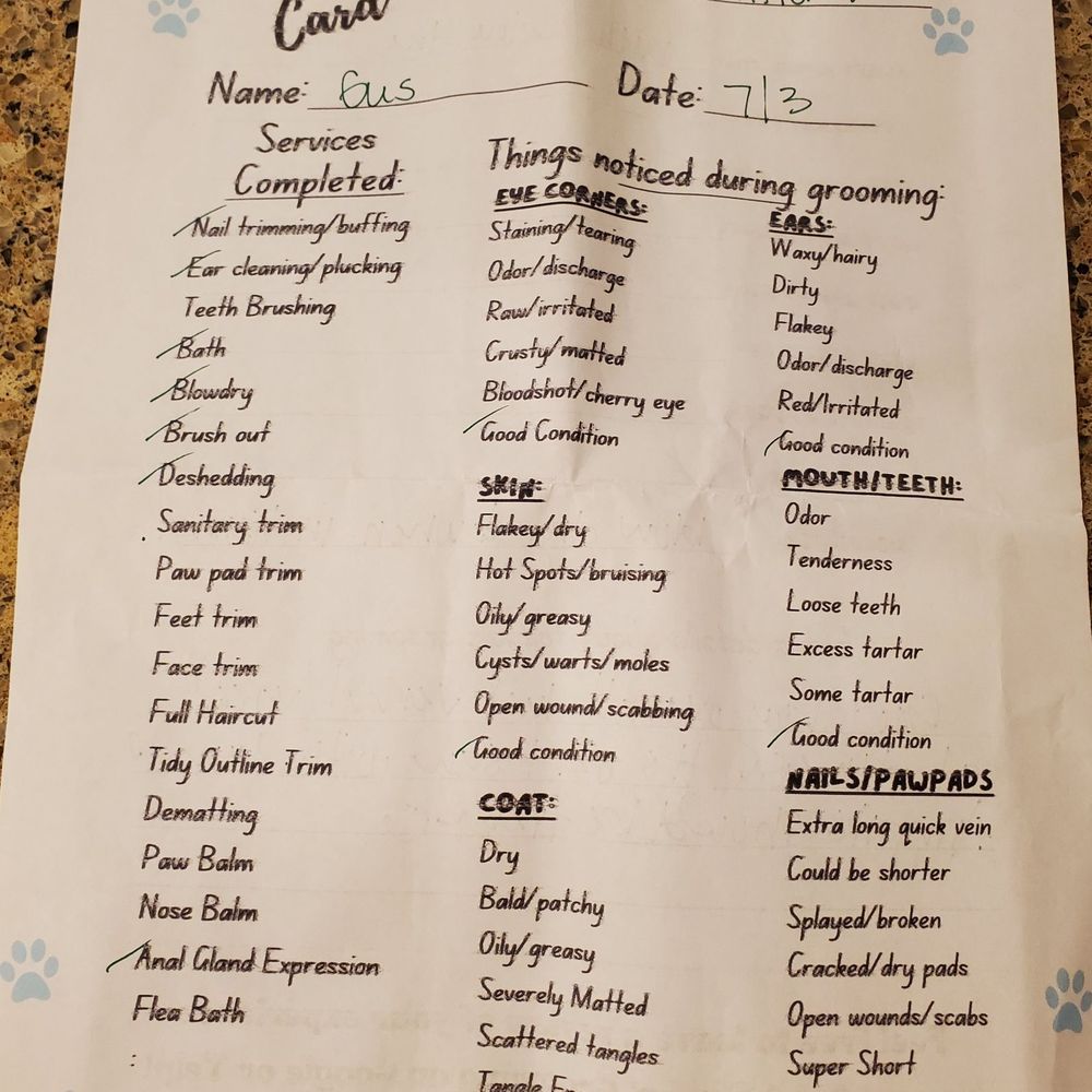 Good Fluffin’ Grooming - Cutest report card!!! - Pet Groomers Near Me - Riverside, California Good Fluffin’ Grooming - Cutest report card!!! - Pet Groomers Near Me - Riverside, California