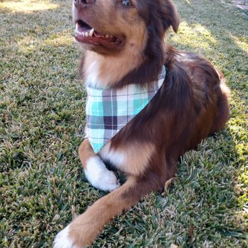 Plush Pups Pet Boutique and Spa - Pet Groomers Near Me - Riverside, California Plush Pups Pet Boutique and Spa - Pet Groomers Near Me - Riverside, California