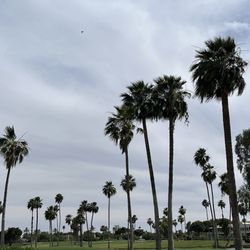 McCormick Ranch Golf Club