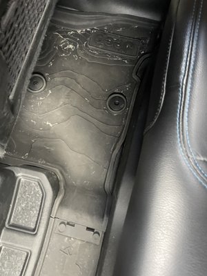 Octopus Car Wash by null