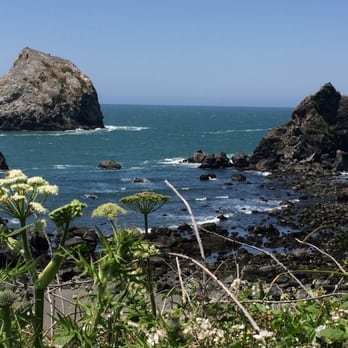 Yurok Loop Trail - Hiking Near Me - Klamath, California