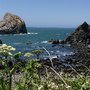 Photo of Yurok Loop Trail