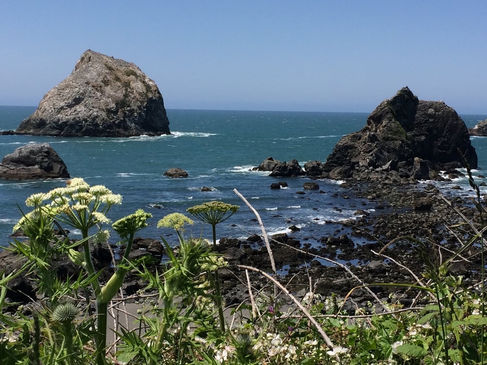 Yurok Loop Trail Logo
