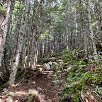 Upper Dewey Lake Trail to Devil's Punchbowl - Climbing and climbing. Earning it, lol. - Hiking Near Me - Skagway, Alaska Upper Dewey Lake Trail to Devil's Punchbowl - Climbing and climbing. Earning it, lol. - Hiking Near Me - Skagway, Alaska