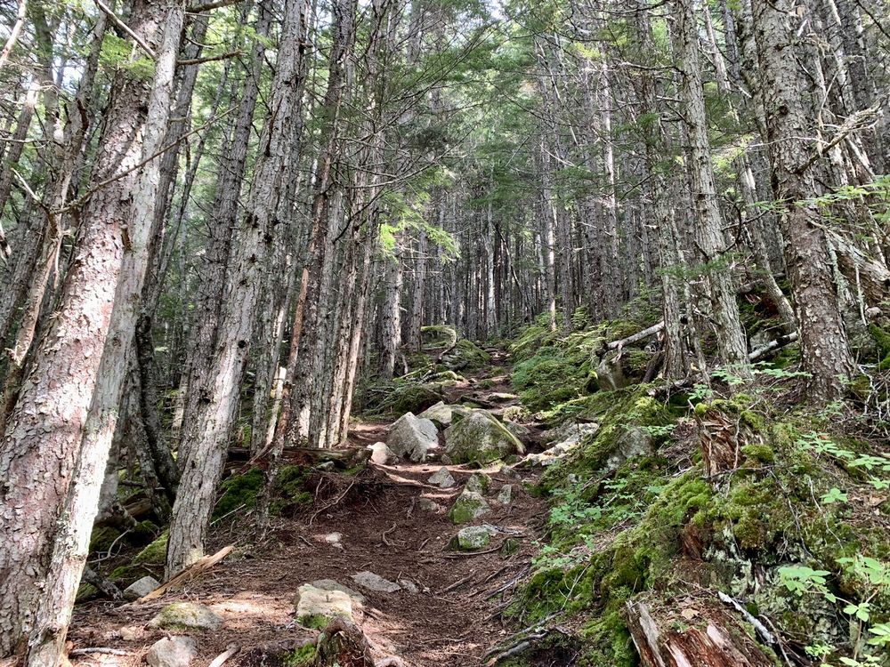 UPPER DEWEY LAKE TRAIL TO DEVIL’S PUNCHBOWL 10 Photos Hiking 1898