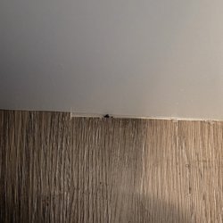 Gracious Hardwood Flooring - More uneven install